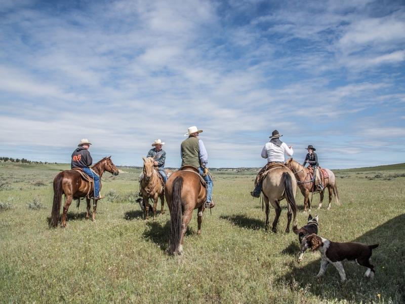 Cowboys set off to check their livestock. 