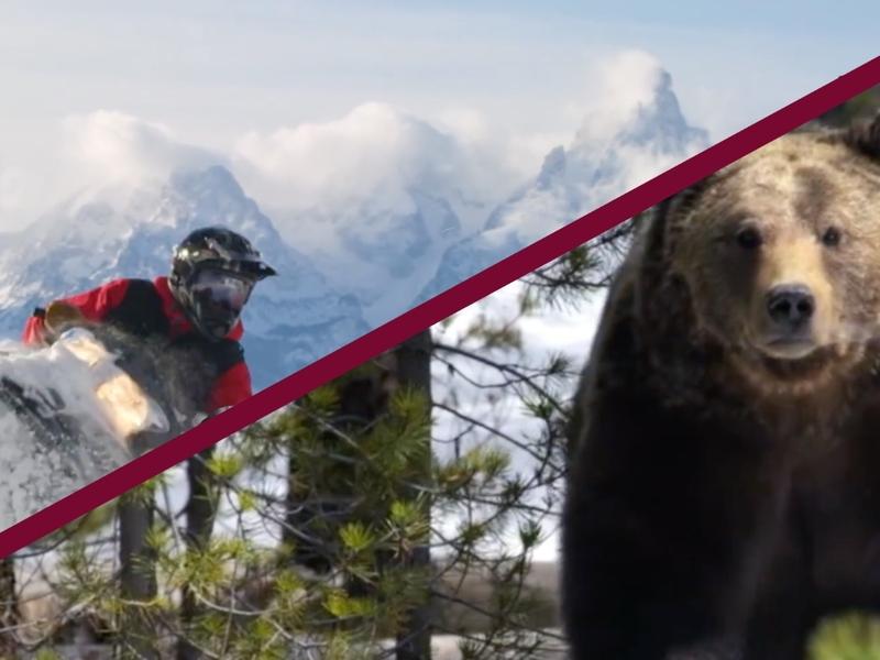 Still images taken from  Jackson Hole Travel & Tourism Board's YouTube video "Jackson Hole Winter 2017-18 : Stay Wild". 