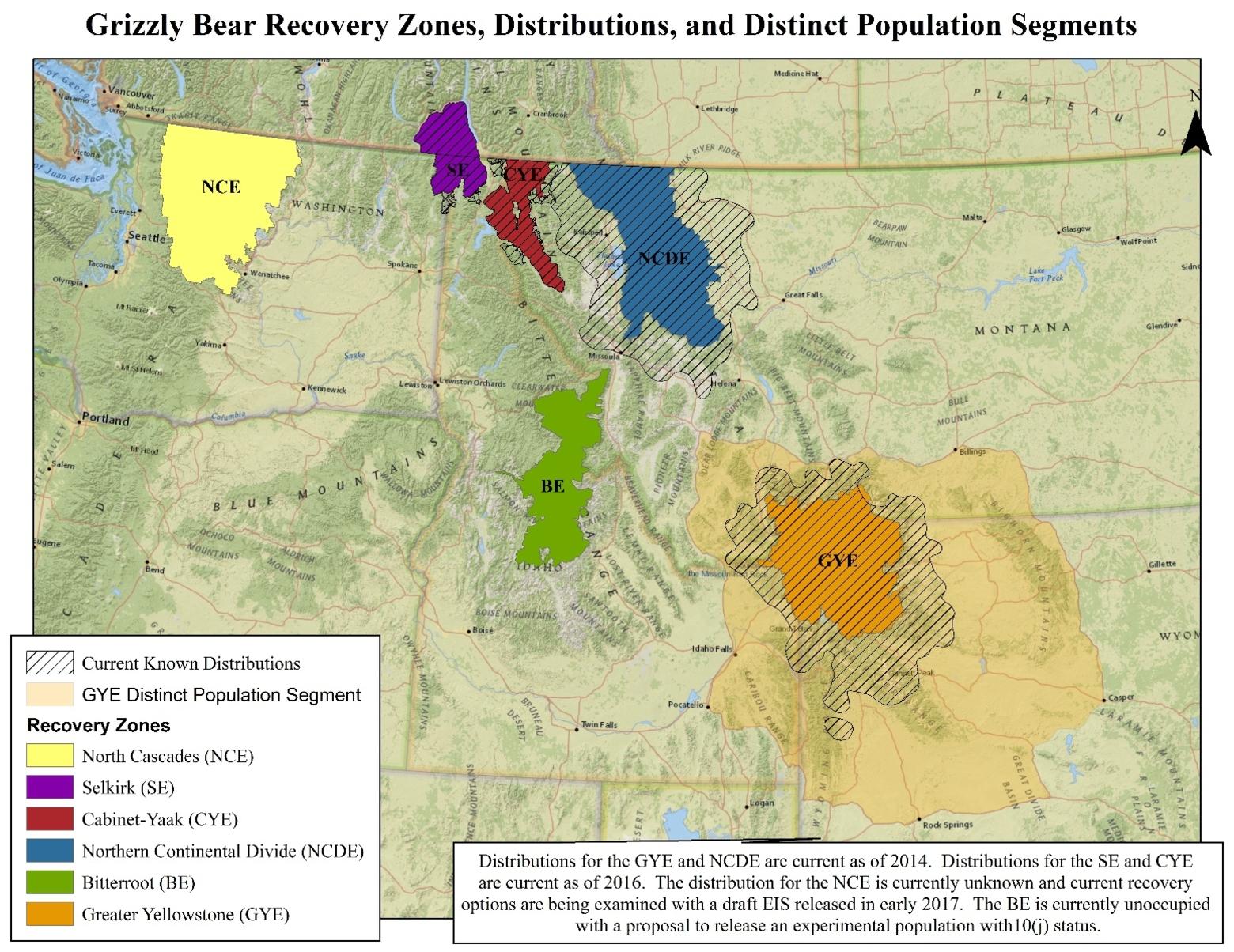 A map showing existing grizzly bear populations in the Lower 48 states.  Lance Olsen notes that communities around both the Greater Yellowstone (orange) and Northern Continental Divide (blue) are among the fastest growing in the country. The best hope for achieving real bear recovery is having a grizzly &quot;metapopulation&quot; which would involve connecting Greater Yellowstone with the Northern Continental Divide ecosystems and getting grizzlies restored to the Bitterroot Ecosystem (marked in green). Map courtesy U.S. Fish and Wildlife Service. 