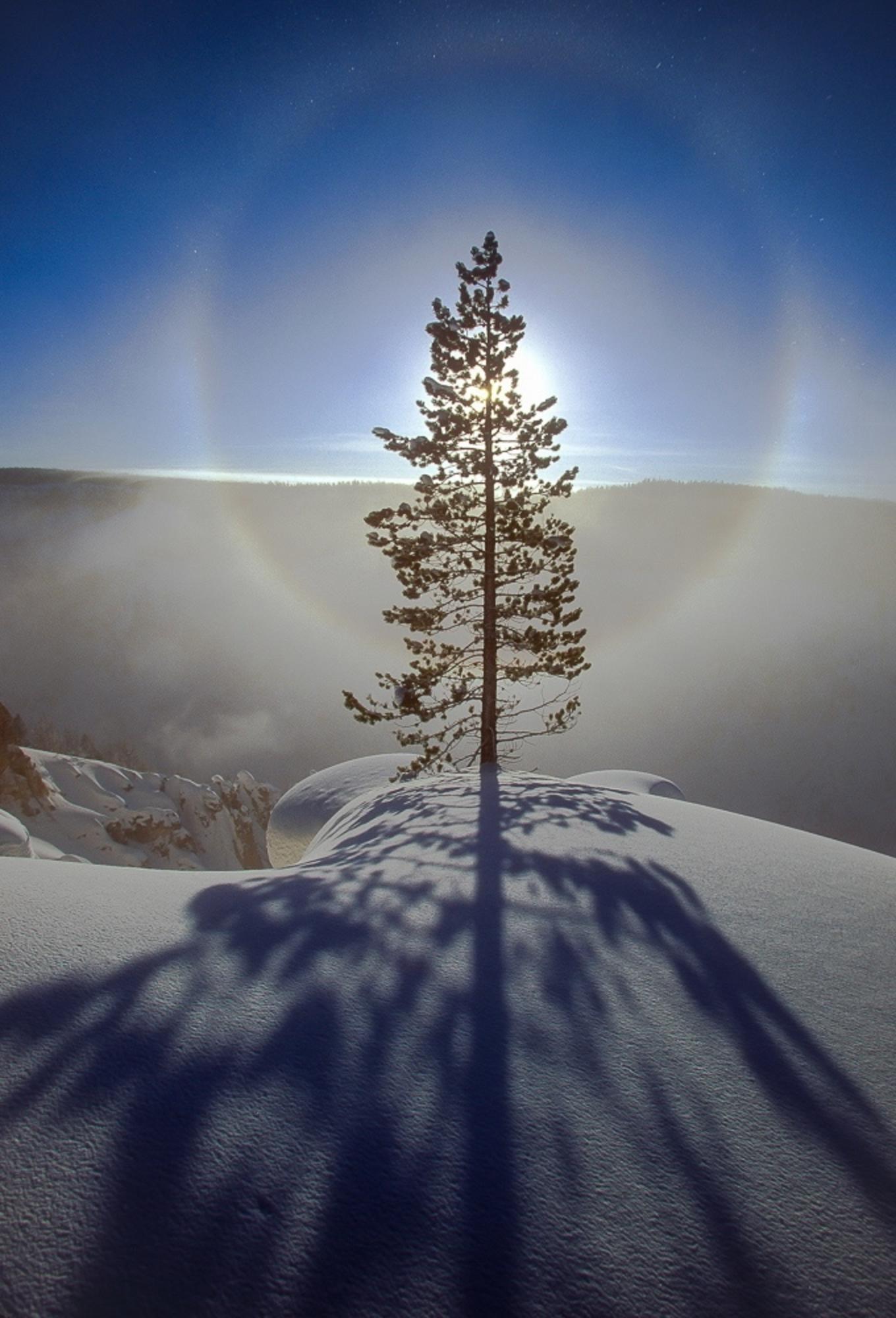 Fuller writes of this photographed titled, simply, “Cock’s Eye Halo”:  A 22-degree halo created by ‘diamond dust’. The halo is the child of several forms of crystals floating in the sub-zero air. Some of the crystals act as mirrors that reflect the light as they tumble through the air, others shaped differently, act as prisms that refract the light into its rainbow colors. Voila!  On foot or on skis there is magic, wonder…despite the pain of the cold, to behold such plays of light, ephemeral aerial optical manifestations. Thanks to HAL, aka Goggle, I just learned that the Cornish, those fey Celts west of the Tamar on the Lizard Peninsula—since the English conquest the furthest southwest of England—a halo round the sun was called a ‘cock’s eye’; presumably, they were domesticated fowl folk.”