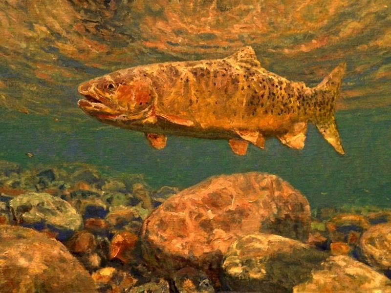 Do we fish for the photograph? Painting, "High Country Cutthroat", by Michael Stidham