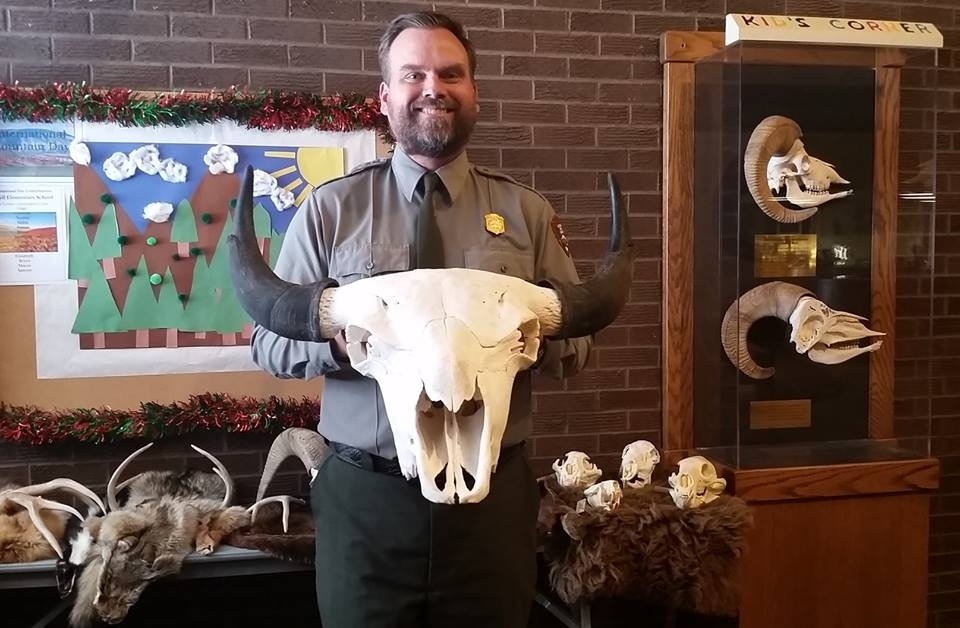 Displaying the newest addition, a bison skull, to the Bighorn Canyon's Education Corner
