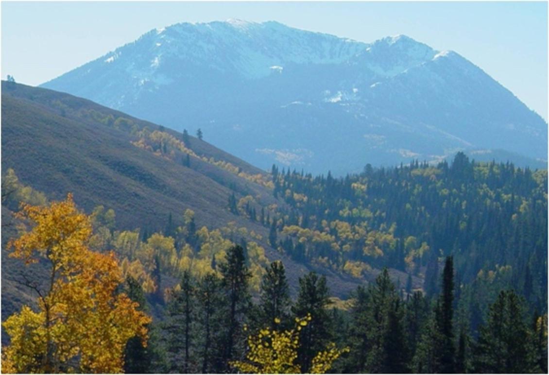 The old Caribou National Forest was combined with the Targhee yet tucked into the southwestern corner of Greater Yellowstone it emanates its own majesty and charm.  Image courtesy US Forest Service