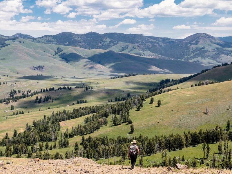 A hiker in Yellowstone's Lamar Valley