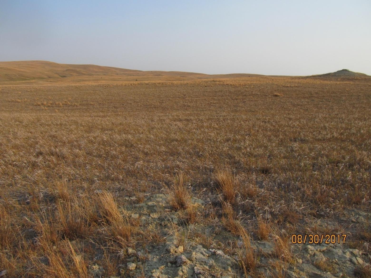  In the recently-released Montana Climate Assessment, a team of scientific experts noted that climate change could spell disaster for dryland farmers and beef growers on the high plains. Photo courtesy USDA