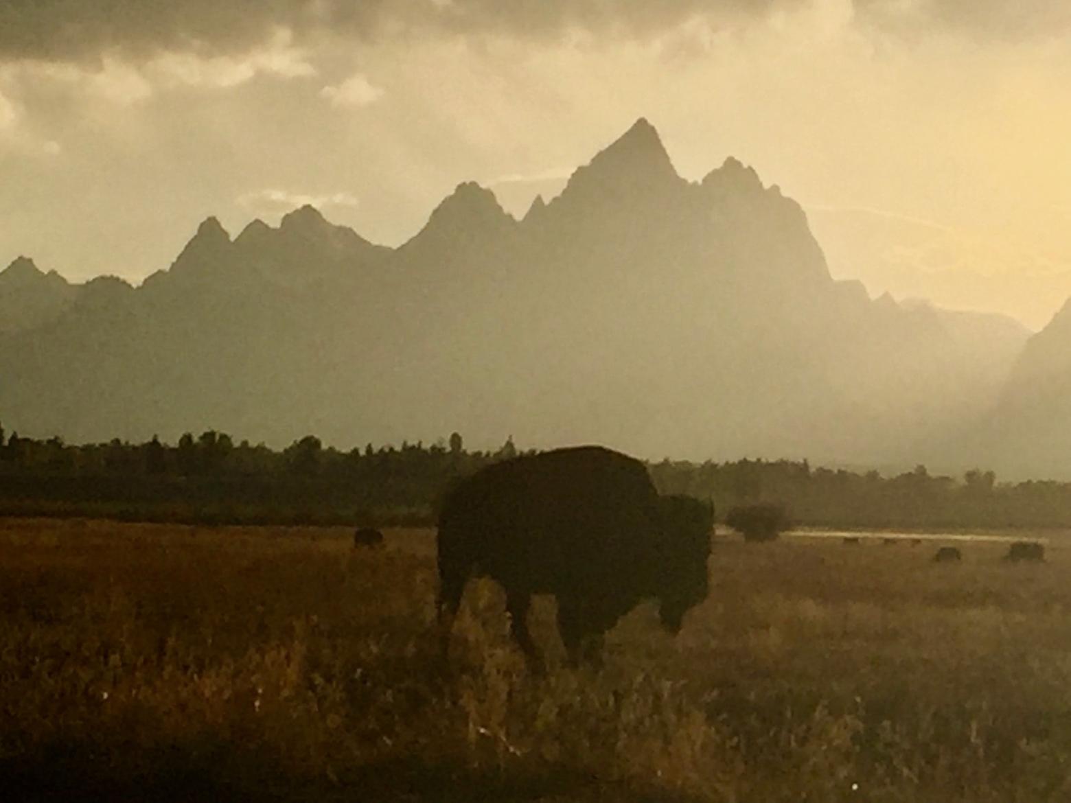 What symbols, sites and sensations visit you in your dreams?  Photo of twilight in Grand Teton National Park by Todd Wilkinson