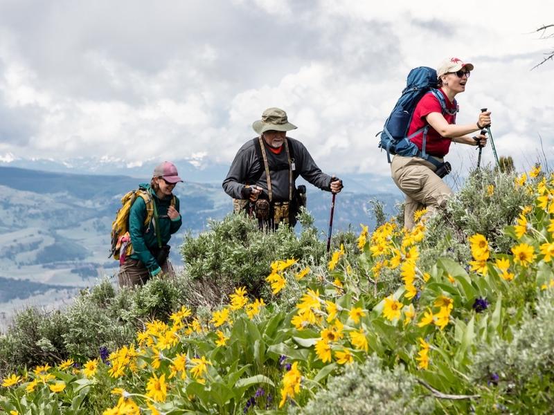 Summer hikers in the high country