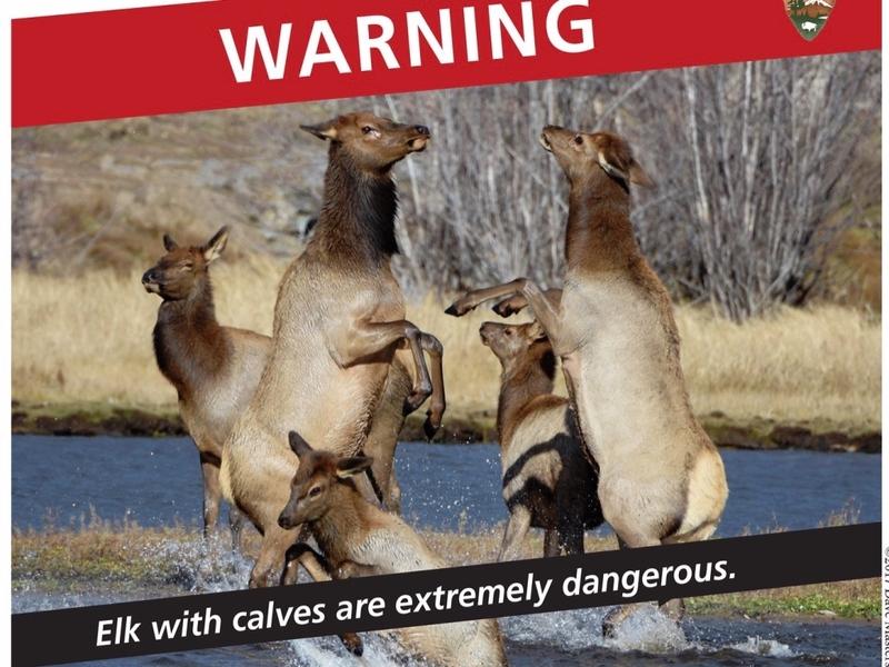  A Yellowstone warning circulated on social media