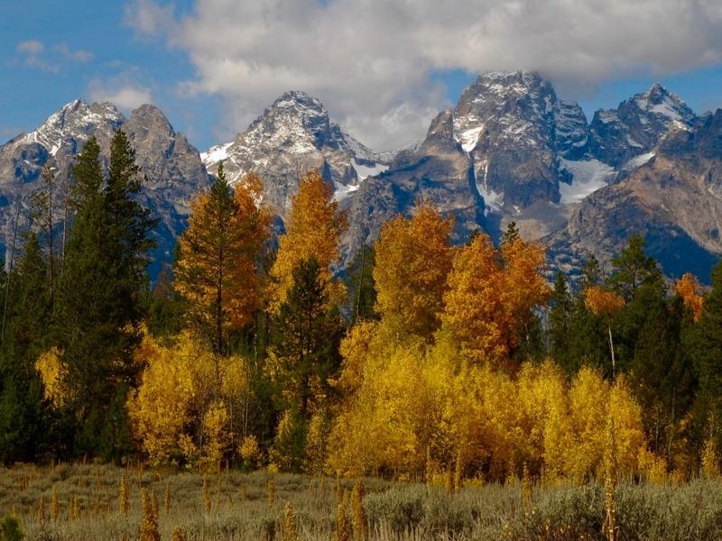 The Tetons with fall colors