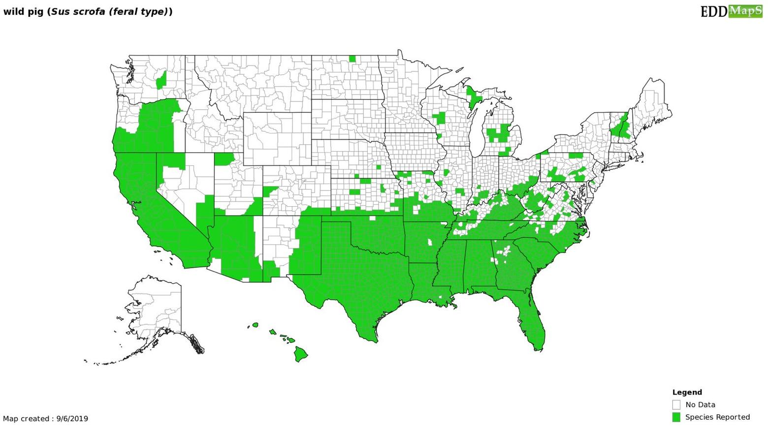 A map showing where feral hogs are confirmed to be. Image courtesy Center for Invasive Species/EDD MapS (www.eddmaps.org)
