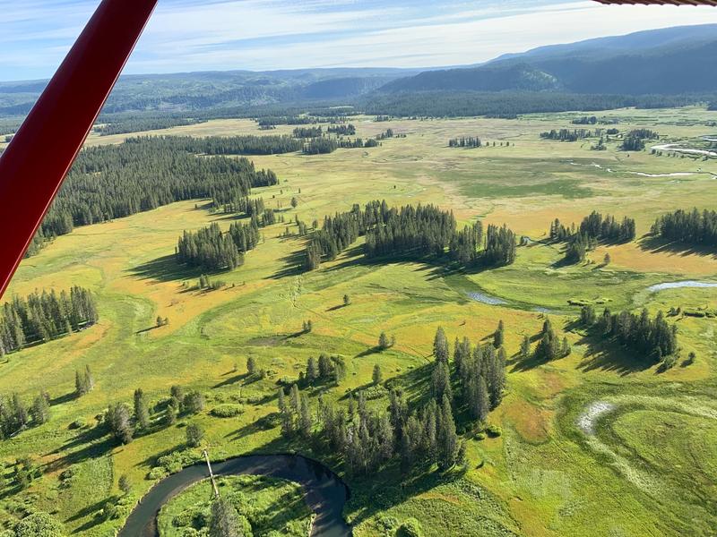 Yellowstone's Bechler from the air