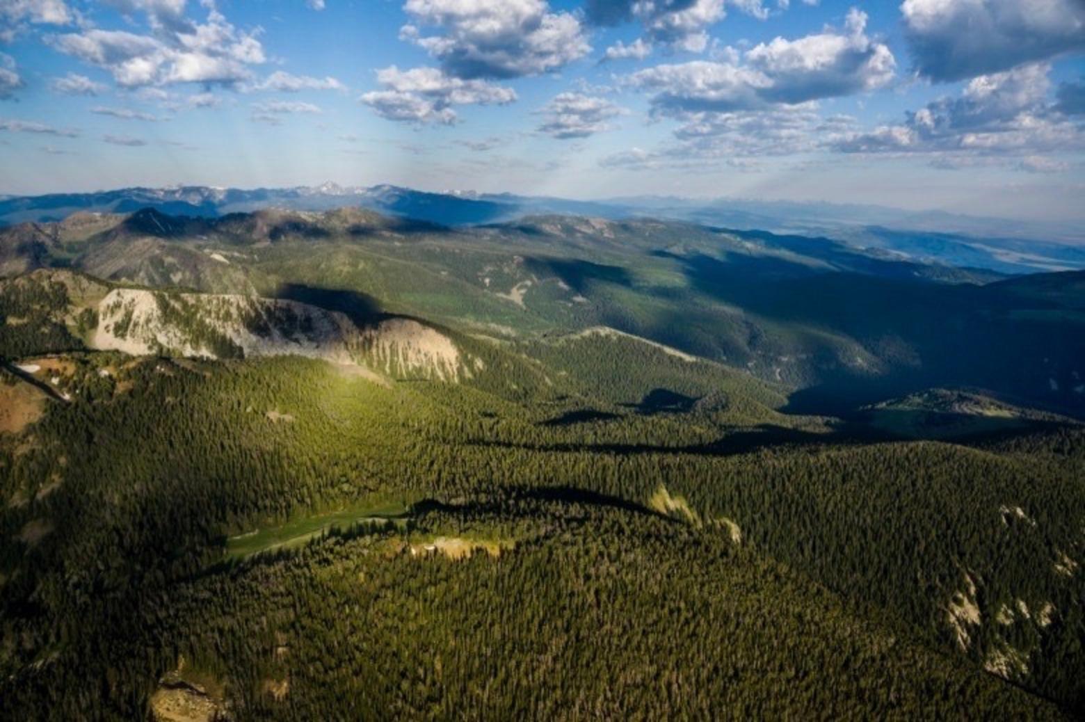 The Gallatin Range and part of the Hyalite Porcupine Buffalo Horn Wilderness Study Area. Were the Gallatin Range a national park unto itself, it would rank among the wildest national parks south of Canada, based on the wildlife diversity that currently exists there, 