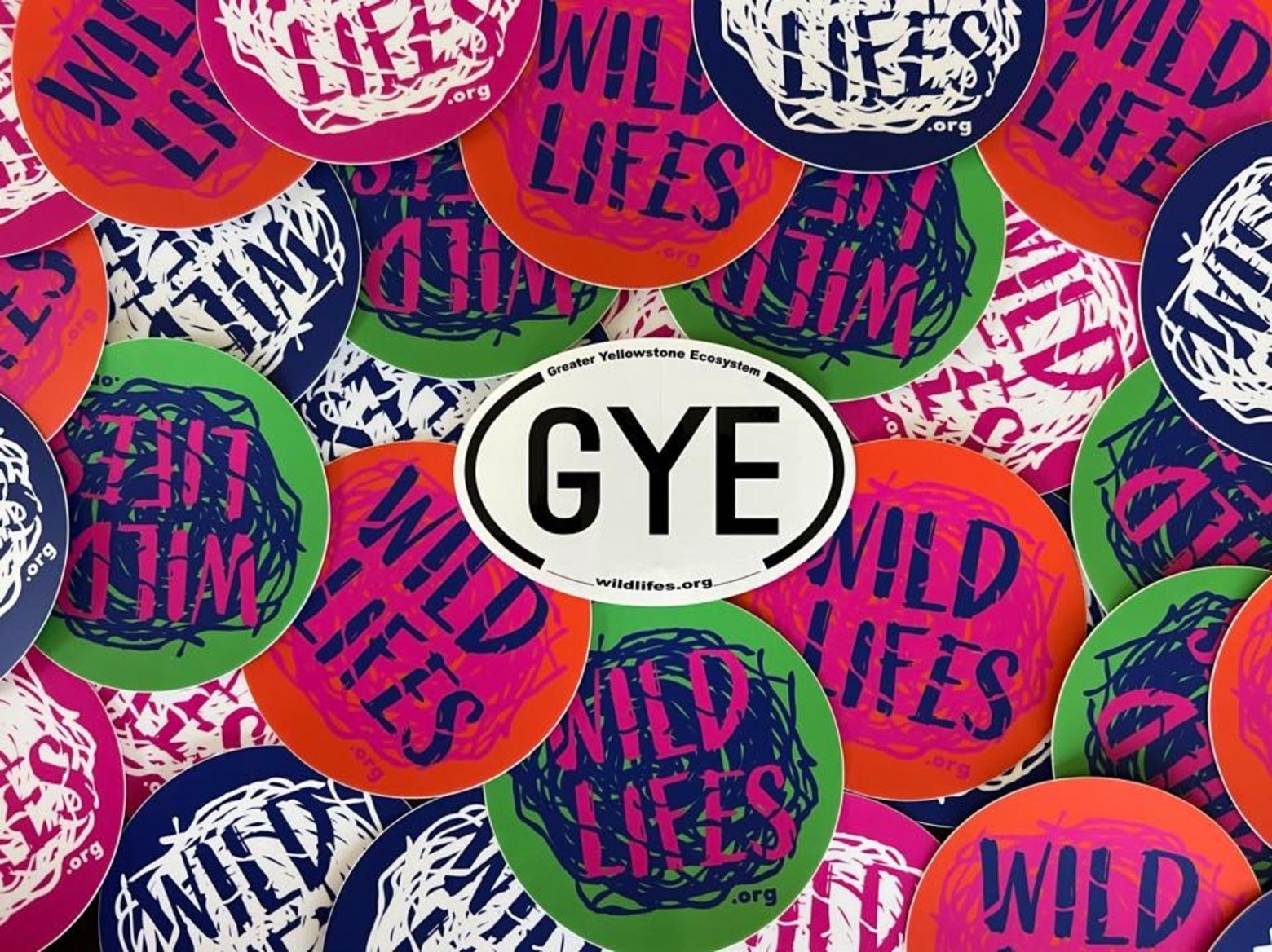 Great free stuff, proclaiming your love for Greater Yellowstone, to put on your car bumper, laptop or anywhere else.  Lori Ryker is making GYE and wildlifes stickers available free to readers who contact her at the email mentioned below.