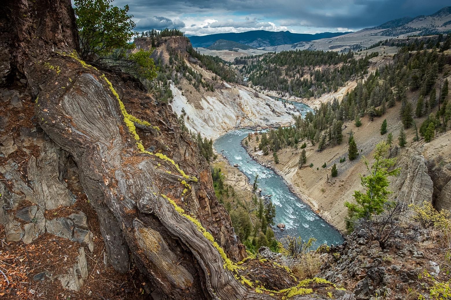 Calcite Springs Trail gives this classic western view of the Yellowstone River. The moss covered root diverted my attention from the thermal springs in the distance. Photo by Howie Garber