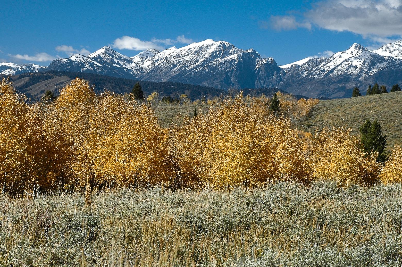 The views from the Kelly parcel in Teton County are remarkable, this to the southwest. It is a haven for wildlife, from ungulates to sage grouse to songbirds, and part of a major elk migration corridor in the Gros Ventre River watershed. Photo by Susan Marsh