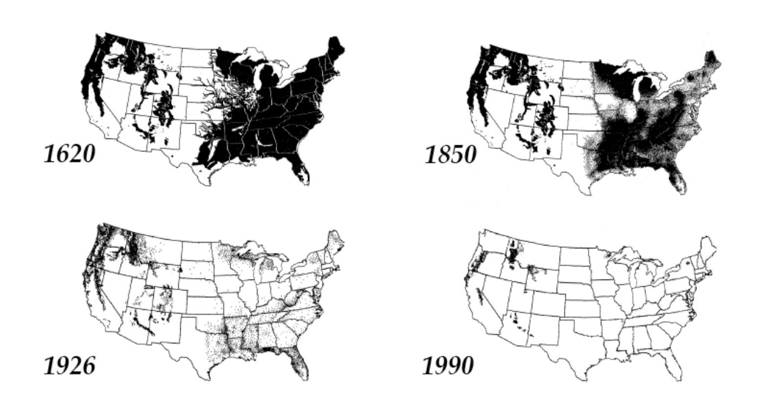 Forested areas never harvested by European settlers or their descendants, 1620 to 1990. Map courtesy Pennsylvania State University