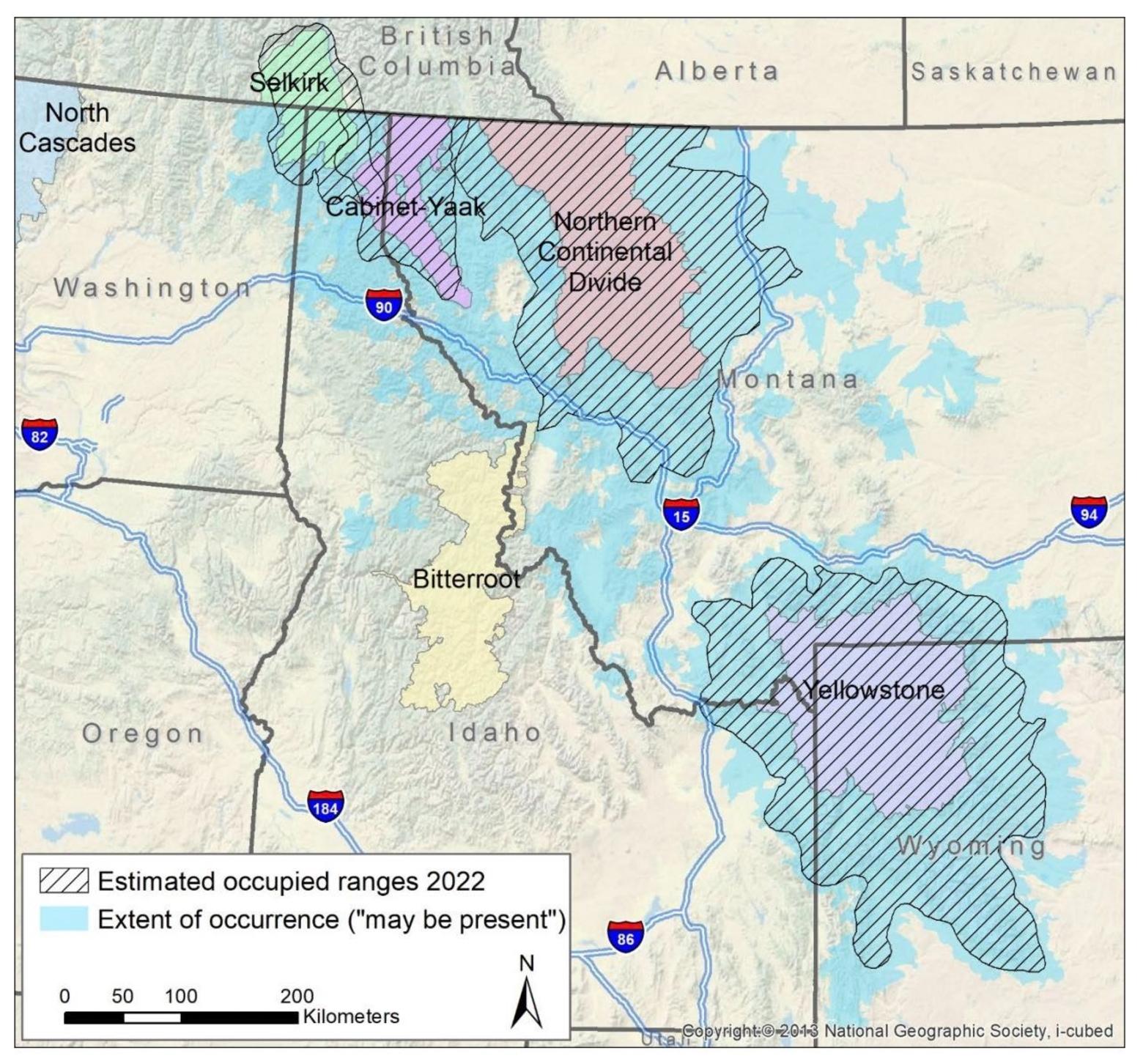 Montana’s latest grizzly management plan uses "estimated occupied range maps" to identify “core” zones, outside of which FWP will not prioritize maintaining a grizzly population. Use of a broader where grizzlies "may-be-present” map (shown above) would provide a more accurate portrayal of grizzly dispersal to guide management efforts, says Dr. Chris Servheen. Map courtesy FWP
