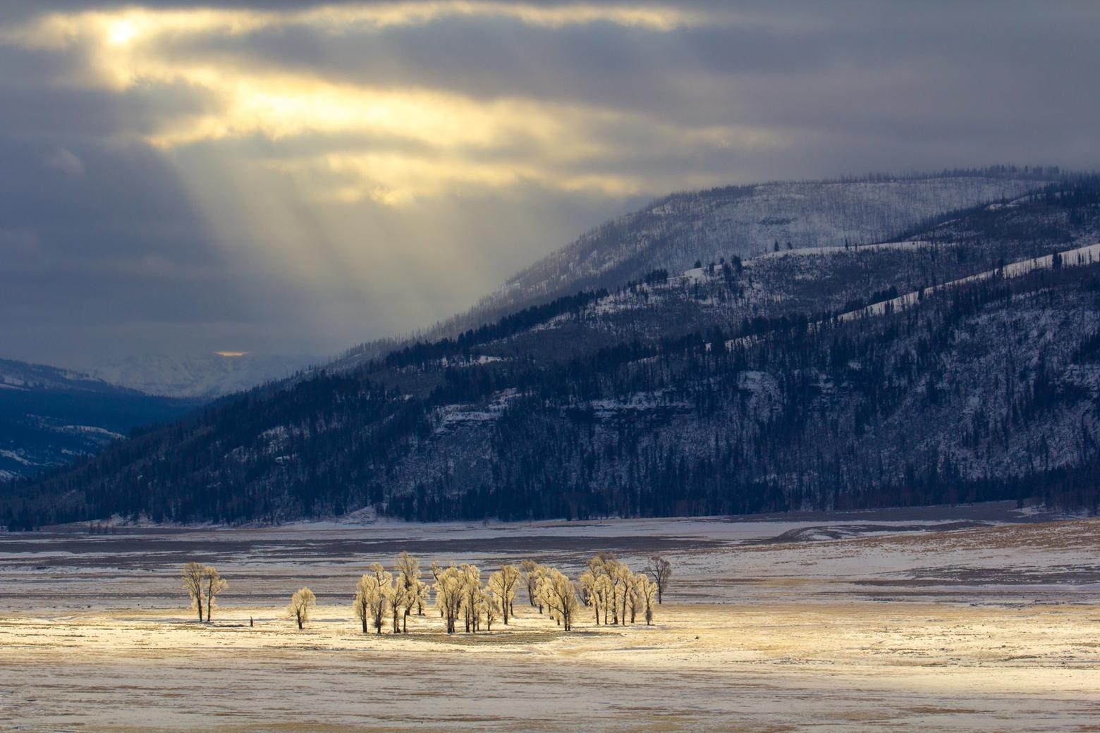 It's easy to see why nature can be therapeutic: the Lamar Valley in Yellowstone National Park.