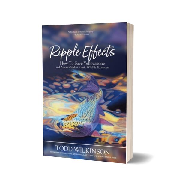 Ripple Effects Book Cover