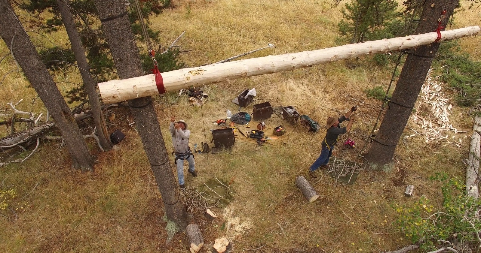A drone camera captures Steve Primm and a colleague raising a new bear pole used by outfitters and hunters to keep their food out of reach in grizzly country.  Photo courtesy Steve Primm of People and Carnivores