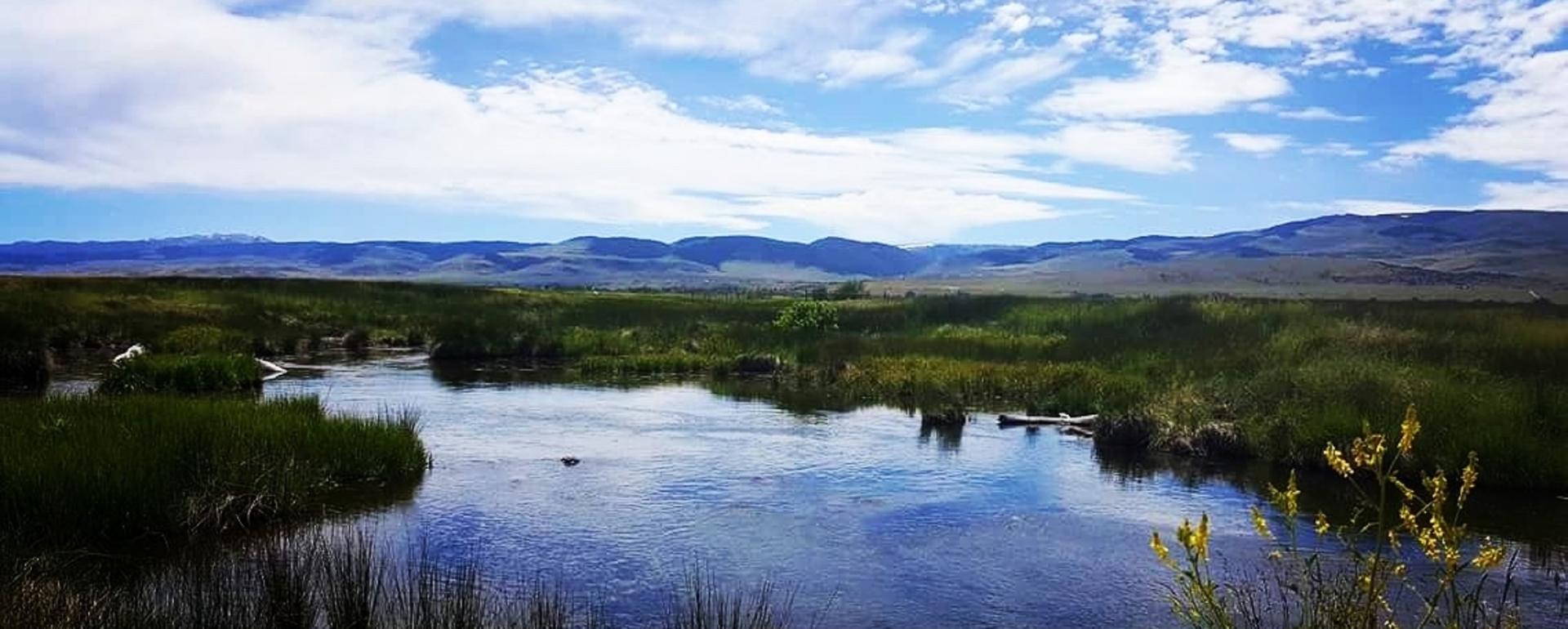 O'Dell Creek in the Madison Valley of Montana