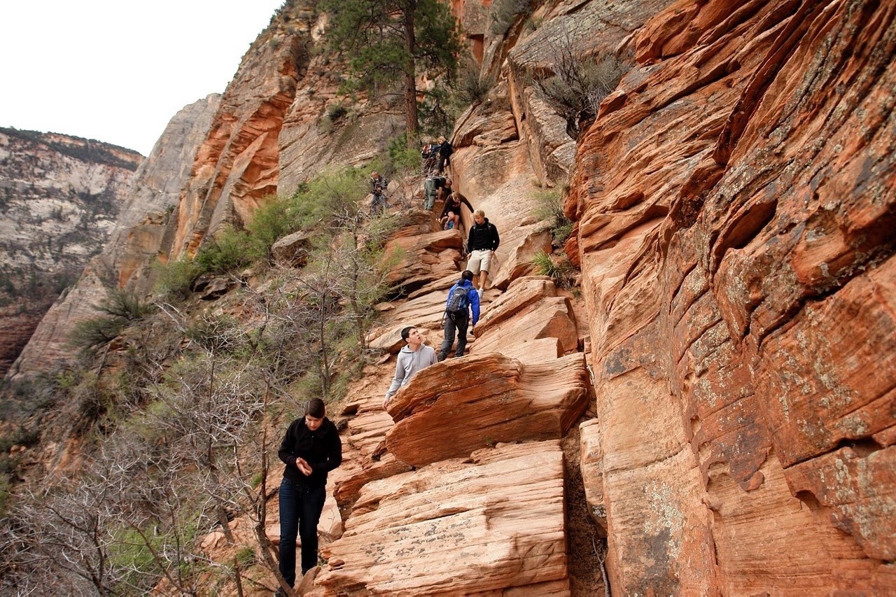 Hikers on their way to Angels Landing in Zion National Park.  In recent years, Zion has taken action to control visitor numbers in order to protect natural resources and the outdoor experience. Across America, in wildlands that have become inundated by mass numbers of people, wildlife values have been diminished. Photo by Alex Proimos