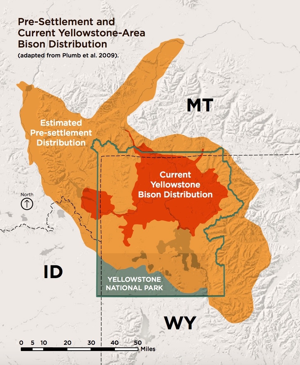 Map created by National Wildlife Federation for its report, The Future of Yellowstone Bison Management based on National Park Service data.