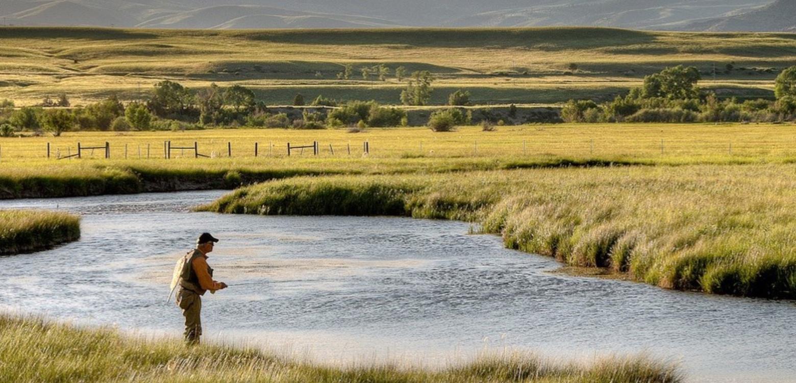 O'Dell Creek in the Madison Valley, photo courtesy River Design Group (www.riverdesigngroup.com)