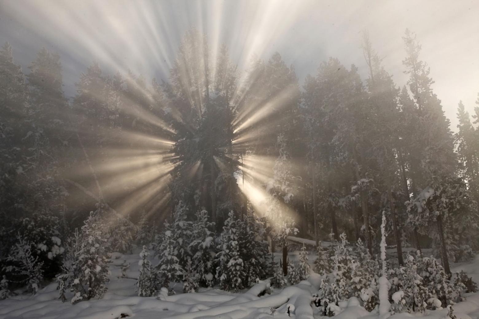 Of this image, titled “Crepuscular”, Fuller observes, “As the sun rises crepuscular rays stream out of the light and shadows created as ‘steam’ from nearly hot springs drifts through nearby trees.  The rays radiate like the spokes of a wheel spreading from the hub of the sun at the center. Crepuscular refers to twilight, that magical transformation of day to night, of light to dark, and of night to day, of dark to light.” 