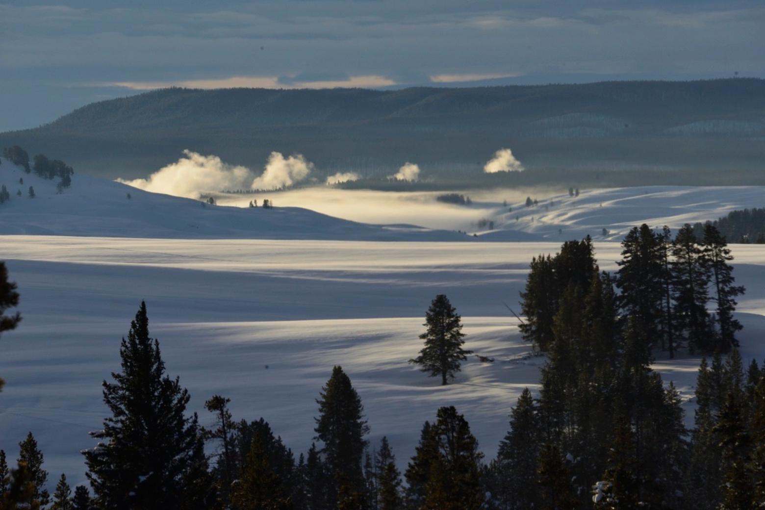 Steven Fuller writes, "With a long lens, the view from my stoop, my front step, looking eight miles to the south across Hayden Valley where steam rises from one of many complexes of hot springs, geysers, and mud pots found throughout the valley."