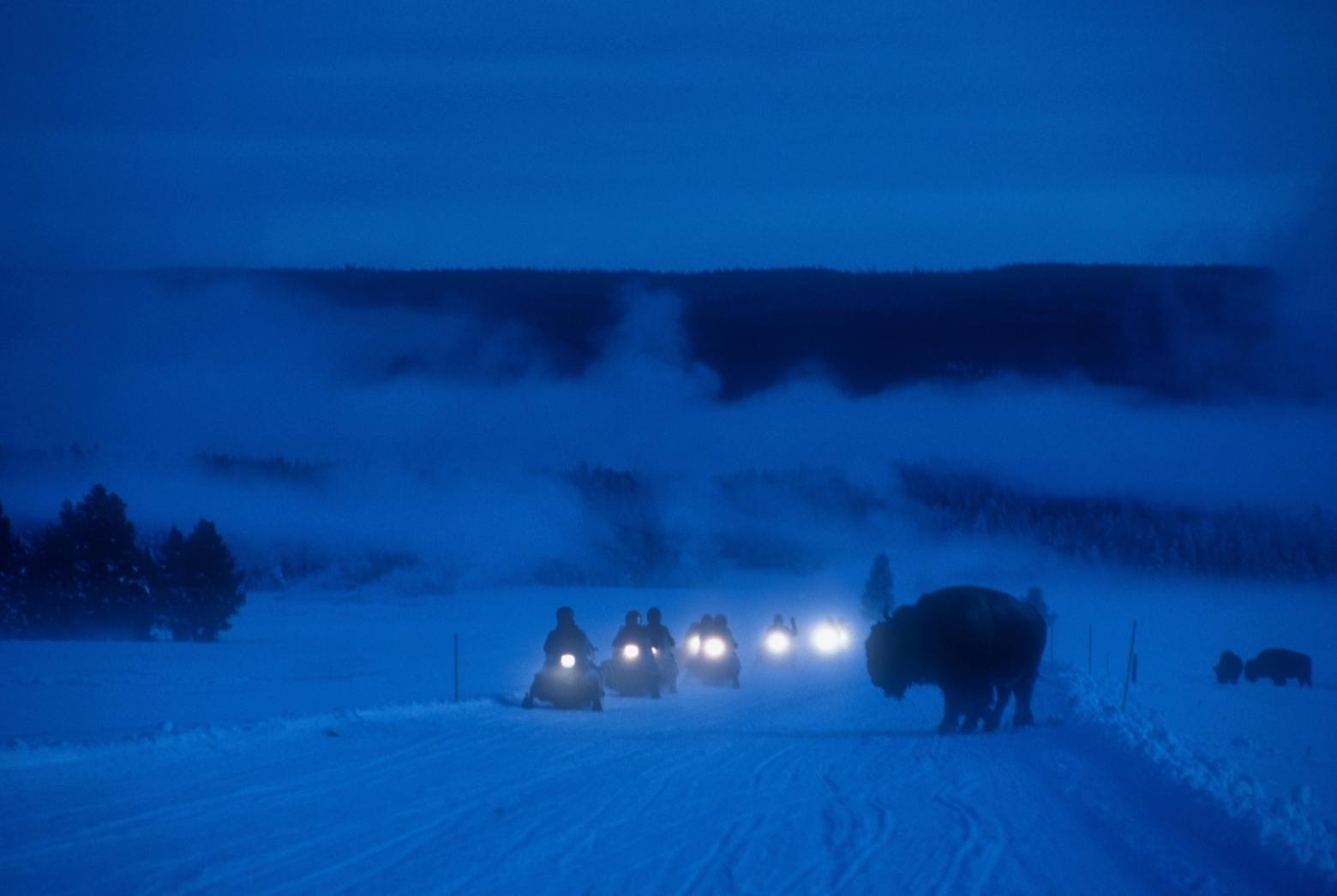 Nightfall in Yellowstone as fleet of snowmobilers try to find their way home. All photos by Steven Fuller