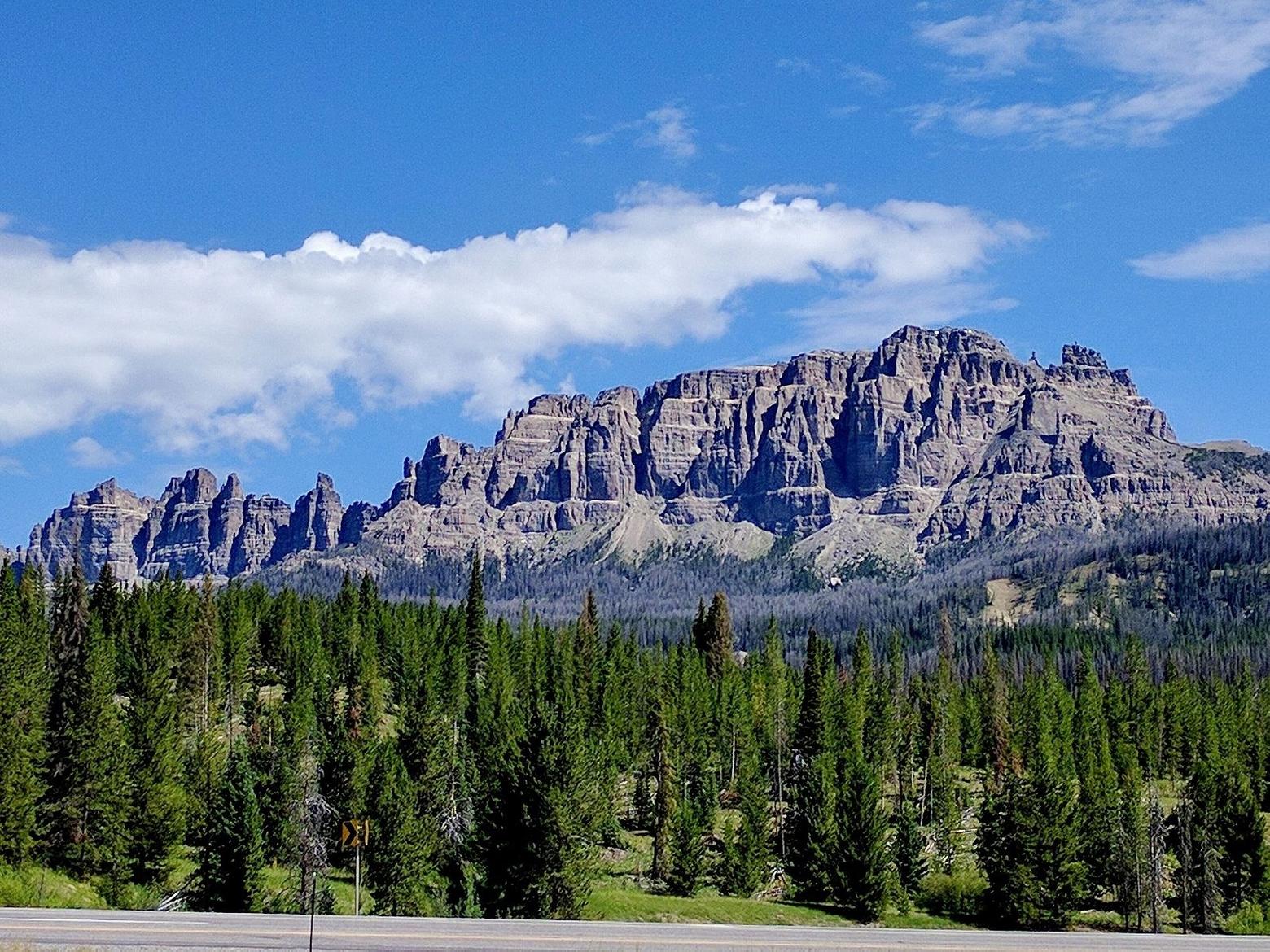 A touchstone in the conservation history of America, the Shoshone National FOrest forms the eastern flank of Greater Yellowstone. It is one of the first national forests in the country, growing out of the original Yellowstone Timberland Reserve.  Image courtesy Viplav Valluri