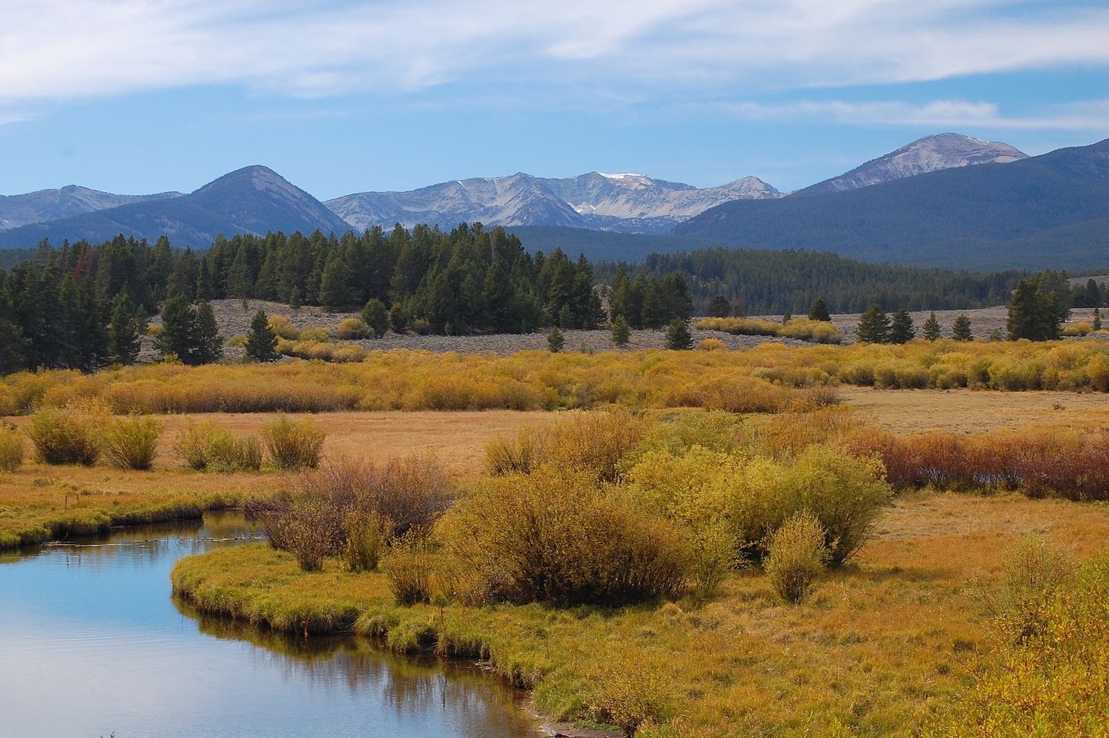 Shoring up the northwestern tier of Greater Yellowstone, the Beaverhead-Deerlodge National Forest  represents a key part of the ecosystem's connectedness to wildlands farther north.  Image courtesy imgur user Fredlyfish4