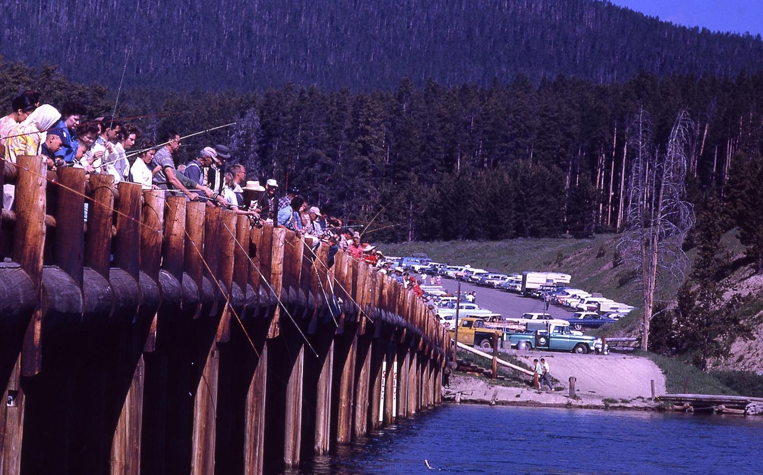 Ryan Zinke is not the first Interior Secretary to emphasize infrastructure in national parks and use of resources over their conservation and safeguarding. The Mission 66 agenda resulted in developments being built in sensitive ecological places where they shouldn't have been sited and attitudes of visitor consumption. At Fishing Bridge in Yellowstone, angling pressure decimated the trout population and had to be curtailed in order to protect the fishery, which plays a vital role in feeding grizzly bears, bald eagles, peregrine falcons and otters. Photo courtesy National Park Service.