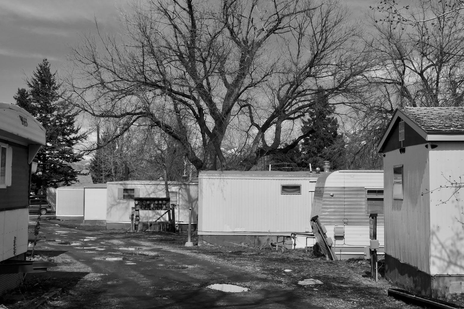 Soon this trailer park in north Bozeman will be replaced and gone too the working-class residents who called it home.  Here's a question: when gentrification pushes people out of a community, doesn't anyone notice when they leave?  Photo by Tim Crawford