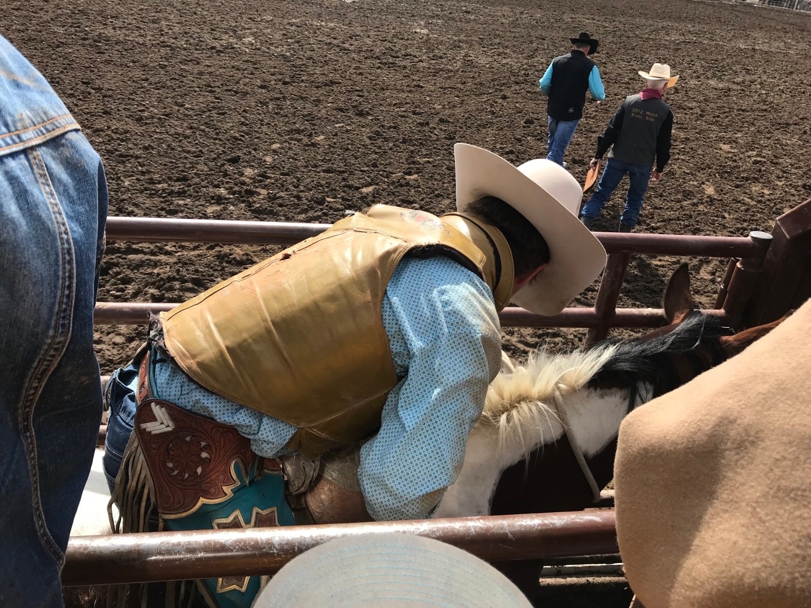 In the chutes at the Bucking Horse Rodeo.  Photo courtesy Timothy Tate