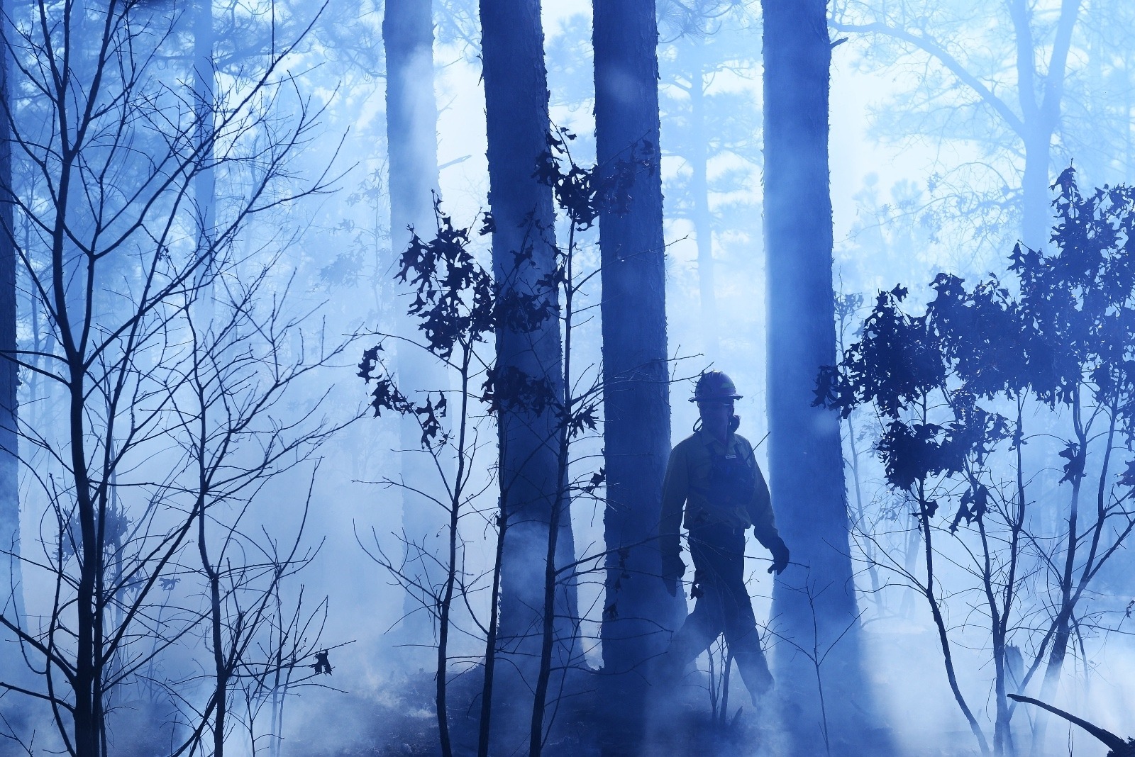 A firefighter strolls through the aftermath of a burn. Photo courtesy US Dept. of Defense