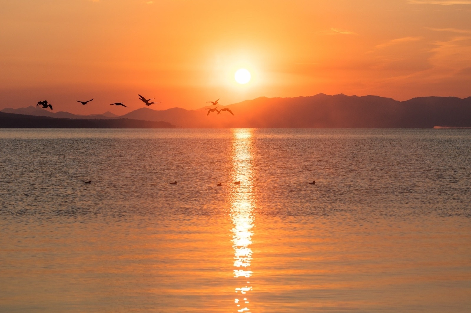 Wherever you are, a natural escape is nearby. Canada Geese flying through the sunrise on Yellowstone Lake.  NPS / Jacob W. Frank