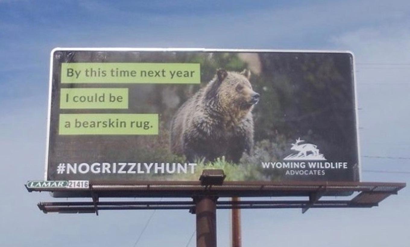 Billboard message put up by Wyoming Wildlife Advocates in Cody, Wyoming.