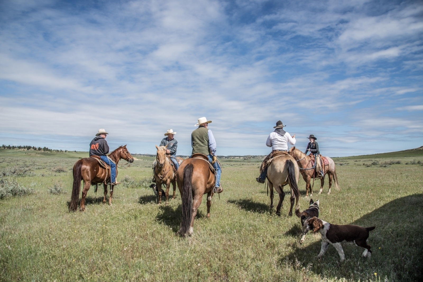 Cowboys set off to check their livestock on the high rolling plains. They do it for real. Photo by Alexis Bonogofsky