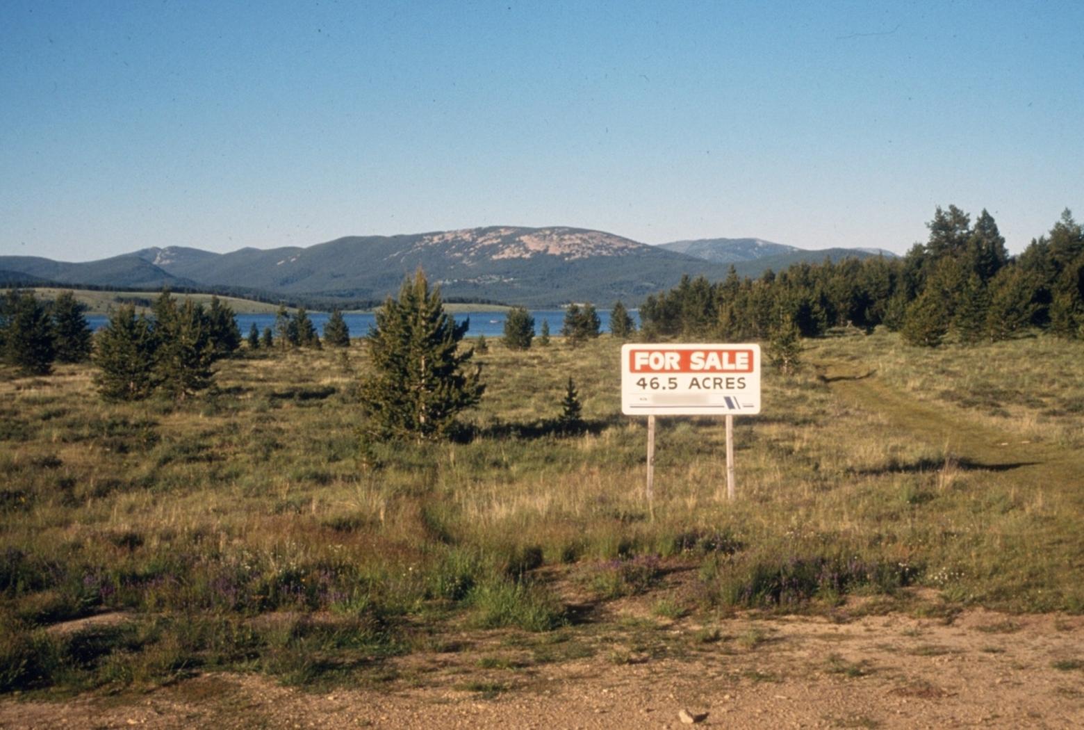 The shore and uplands of a (deliberately unnamed) lake in the northern Rockies where land speculation and development pressure are rapidly bearing down with little thought given to ecological consequences. Nellis says what's needed is a new land ethos for the 21st-century that shatters old myths. Part of it includes incentivizing more responsible stewardship that can also, in the long run, change narrow attitudes deeply embedded in culture.  Photo by Lee Nellis