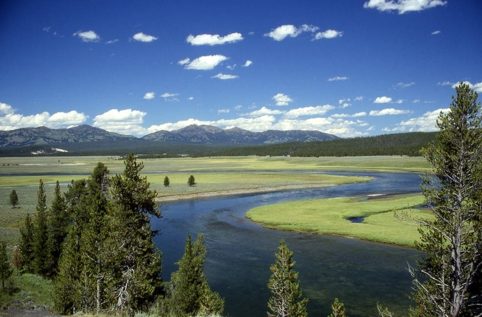 The Yellowstone River, the longest undammed river in America, begins its journey south of Yellowstone National Park and ends by marrying the Missouri River near the intersection of North Dakota and Montana. Here, the river runs through Hayden Valley in Yellowstone National Park. Many believe it is an ideal candidate to be declared a Wild or Scenic river.  Photo courtesy National Park Service.