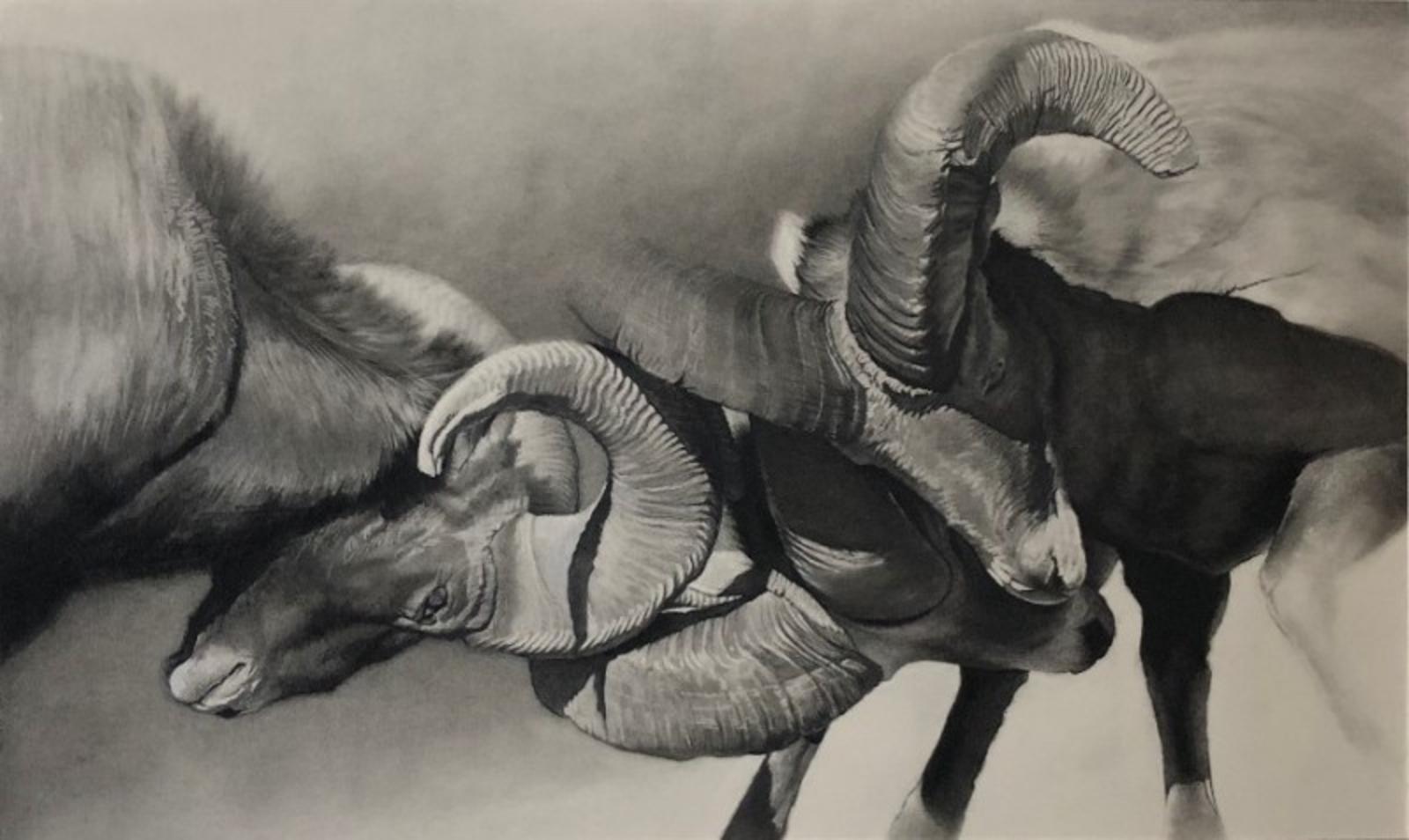&quot;Bighorn Rams&quot; by Cole Johnson. No, it's not a black and white photograph. And yes, it's hard to believe that someone could deliver a scene so vivid, dramatic with light, shadow and value, and do it in graphite and charcoal.  But Johnson brilliantly does it here. He can't get enough of the Greater Yellowstone Ecosystem and its animal inhabitants. To learn more about him and his work, go to http://www.colejohnsonart.com