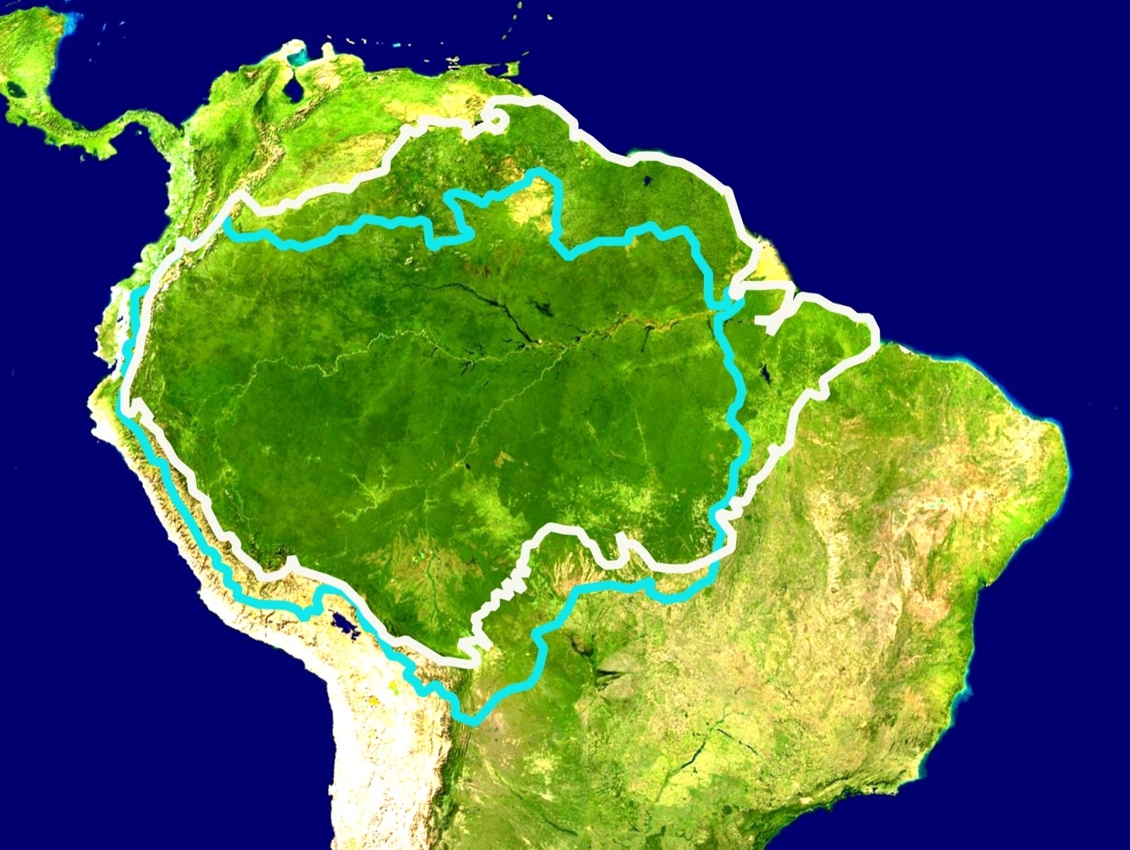 The Amazon River and Forest Basin covers a huge swath of land. When healthy, the forest functions as a carbon sink but when trees are dying and drying from heart or toppled it has a reverse effect.  Images courtesy Wikipedia Commons