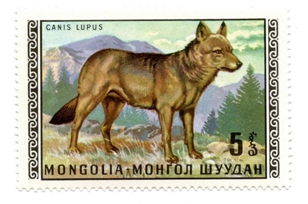The wolf has been featured on Mongolian postage stamps. Image courtesy Susan Fox