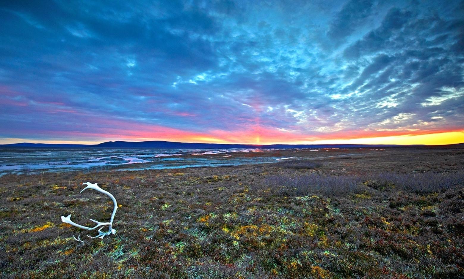 The Arctic National Wildlife Refuge in Alaska, homeland to caribou and other species sensitive to climate change, is designated as a "national wildlife refuge" for a reason. The Trump Administration wants to open it up to energy development, with the burning of fossil fuels extracted from it, ironically certain to hasten the tundra's demise and bring rising seas inundating native communities.  Clayton's photographs are his testaments to the value of wild places most Americans will never see but are part of their own common natural heritage.  Imagine if a portion of the Arctic Refuge were allowed to resemble the Pinedale Anticline in Greater Yellowstone where the Bureau of Land Management has allowed a gas field to become a sacrifice zone for energy development at the expense of migratory pronghorn, mule deer and sage grouse. Photo courtesy Pat Clayton.
