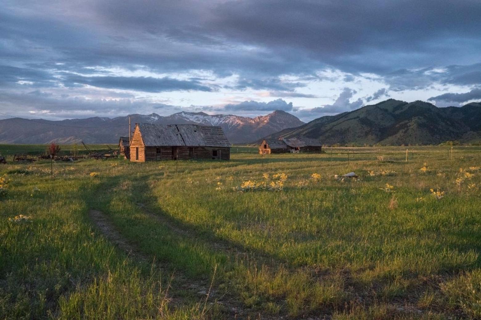 The Springhill area, tucked up along the Bridger Mountains northeast of Bozeman, is one of the true aesthetic rural charms of the Gallatin Valley. The Toohey farm and its historic out structures set the tone of that ambiance. Many families have realized how they can leave a lasting legacy to their community, and realize tax rewards, by putting their land under a conservation easement. In fact, ecologists note that the high wildlife values around Greater Bozeman will only persist if vital tracts are protected. Photo by Louise Johns (www.louisejohnsphoto.com)