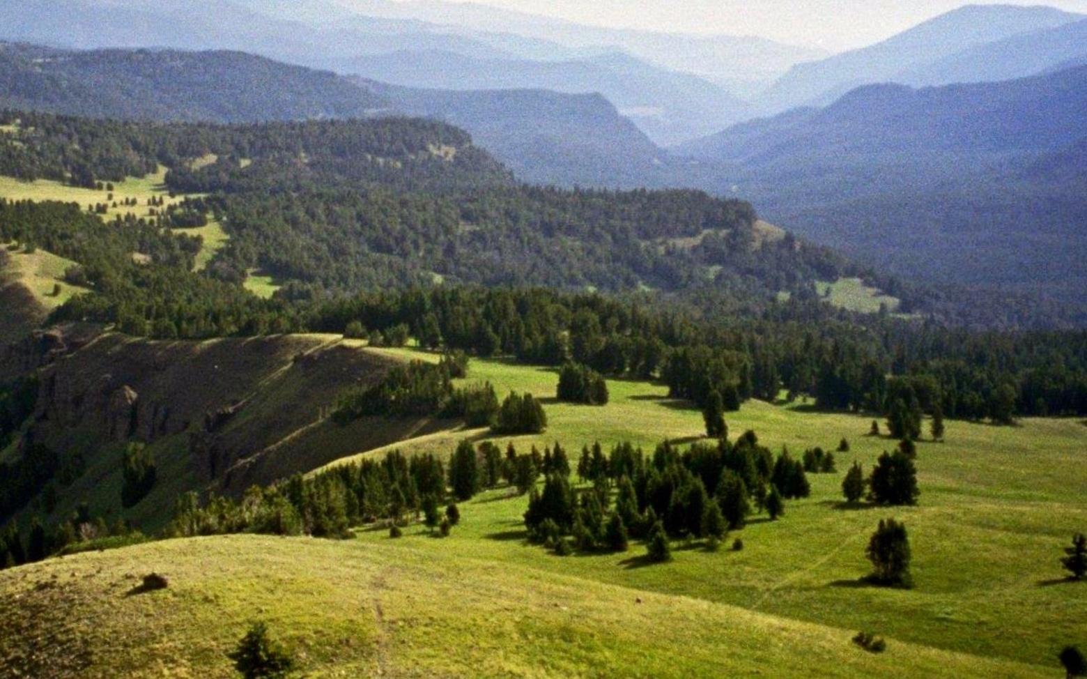 Proclaimed by prominent scientists as a &quot;complete, intact ecosystem&quot; within the larger Greater Yellowstone Ecosystem, the Hyalite-Porcupine-Buffalo Horn Wilderness Study Area in the Gallatin Mountains is renowned for its wildlife. It holds more diversity of species than most national parks in the Lower 48. Right now, it sits at the center of a huge debate over how to safeguard it amid rising recreation pressure and impacts from climate change. Photo courtesy Steve Moore/Craighead Institute