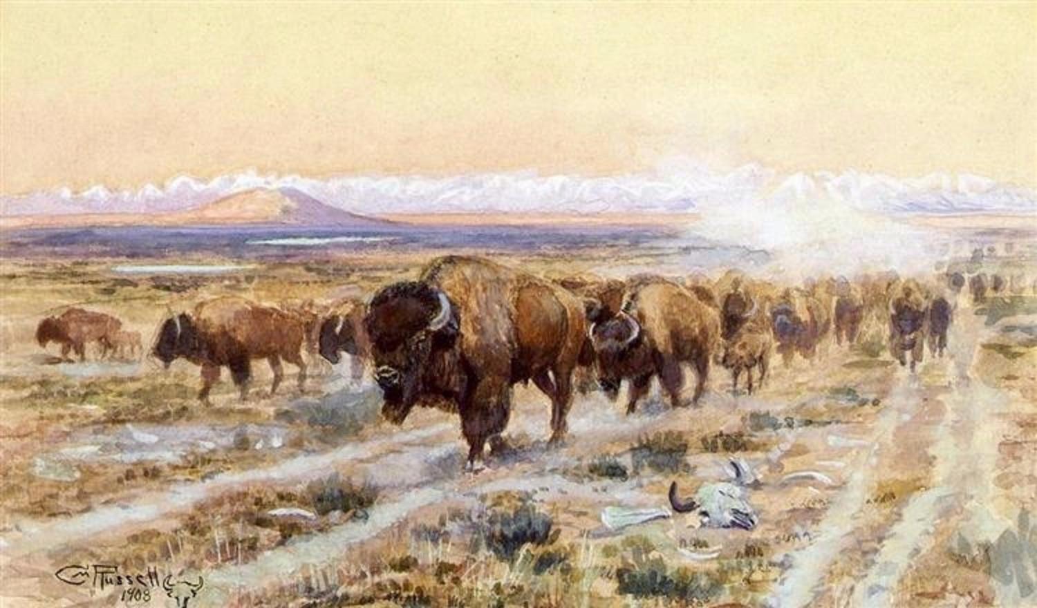 "The Bison Trail," a painting by legendary Montana artist Charles M. Russell who has a national wildlife refuge named after him along the Missouri River Breaks and in close proximity to the American Prairie Reserve. Some of Russell's murals adorn the state capitol  building in Helena. Russell mourned the loss of wildness on the prairie, in particular the decline and near extinction of bison.  Public domain photo courtesy WikiArt
