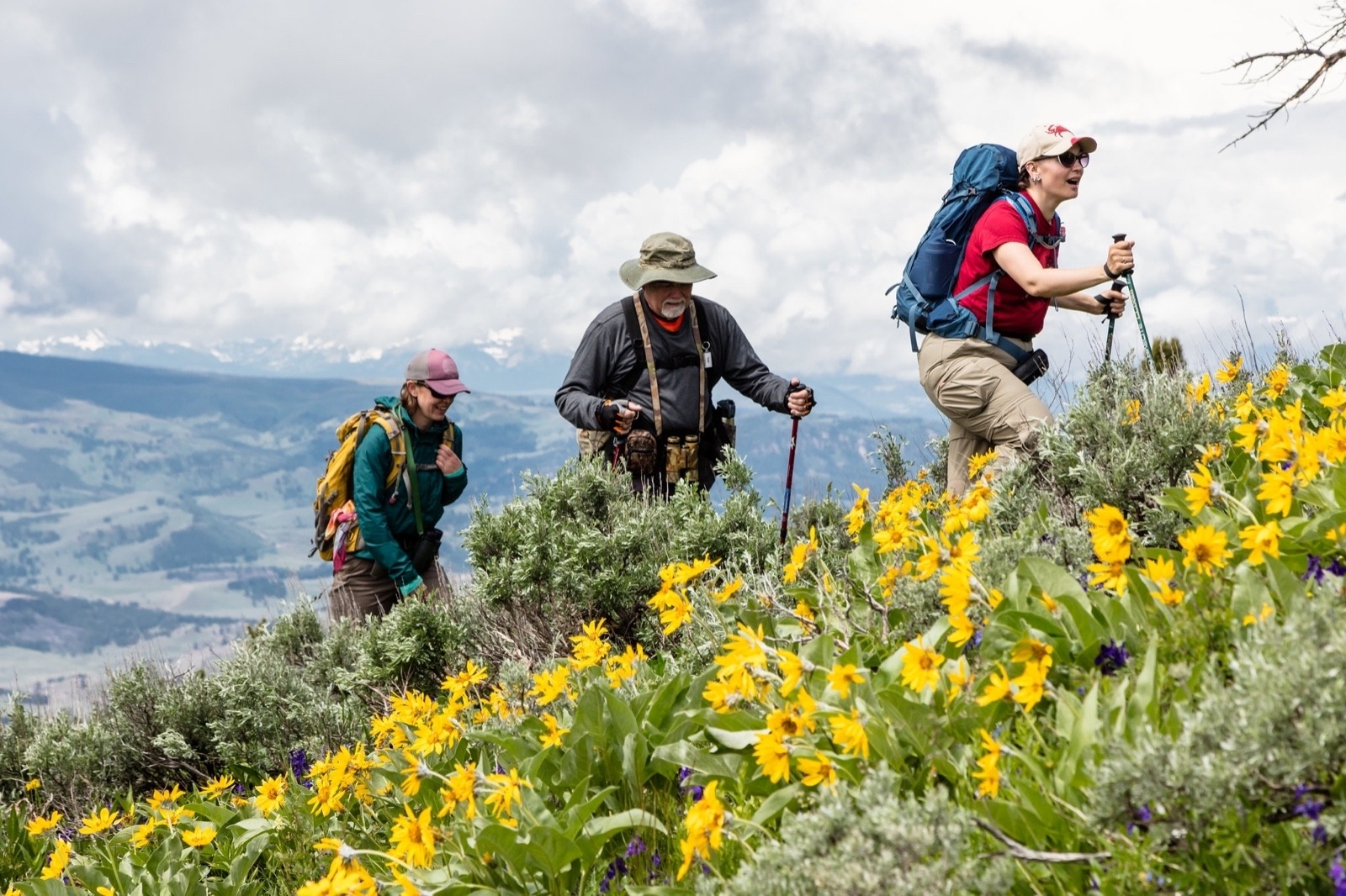 Summer hikers trek through a sub-alpine meadow south of Bozeman. Photo courtesy Jacob W. Frank/NPS